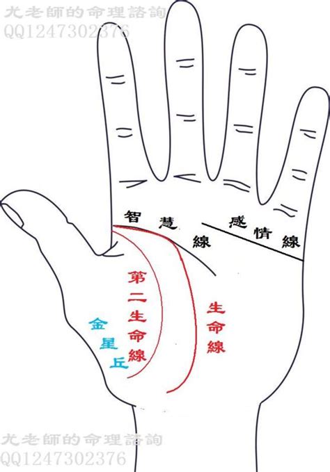 2條生命線|兩條生命線的手相代表什麼